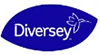 Diversey catering equipment logo